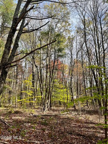 1064 Titus Lake Road, Harpersfield, NY 13786