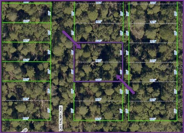 0 LAS PALMAS AVENUE lot 11 & 12, Spring Hill, FL 34606