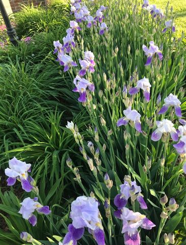 38 Pinnacle Pointe Drive, Somerset, KY 42503