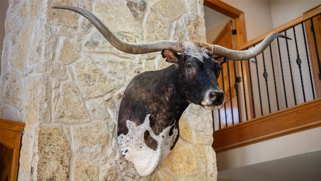 7999 County Road 151, Kaufman, TX 75142