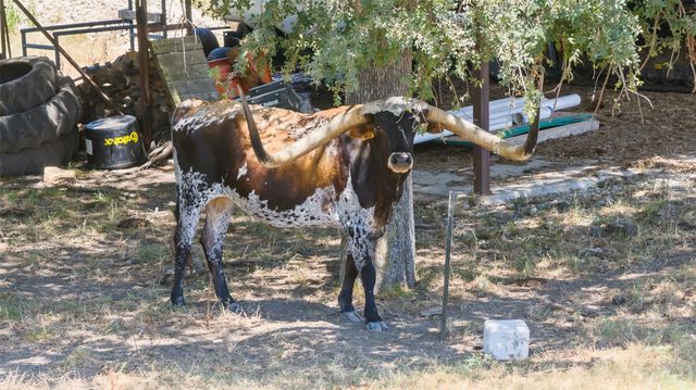 7999 County Road 151, Kaufman, TX 75142