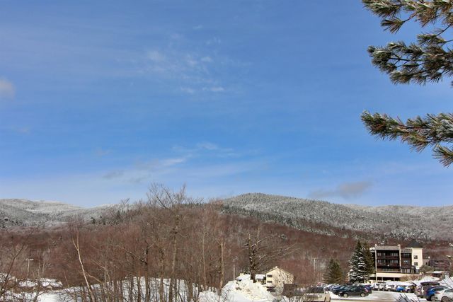 19 Village Ln Unit 322, Bolton, VT 05477