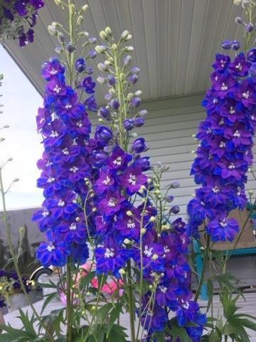 11576 Bristol Road, Chisago City, MN 55013