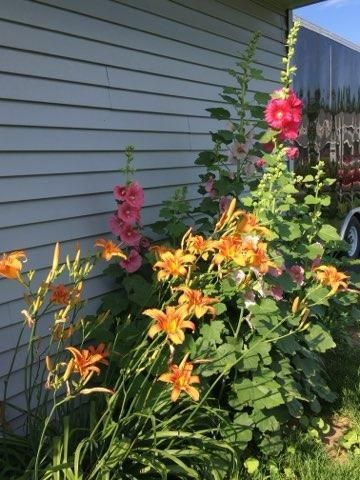 11576 Bristol Road, Chisago City, MN 55013