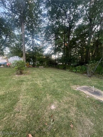 1203 Union Avenue, Ashtabula, OH 44004