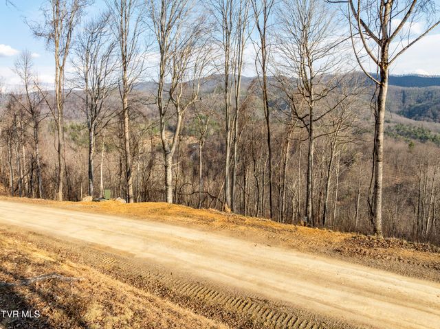 Lot 52 Summerfield Drive, Butler, TN 37640
