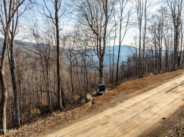 Lot 52 Summerfield Drive, Butler, TN 37640