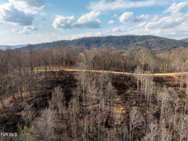 Lot 52 Summerfield Drive, Butler, TN 37640