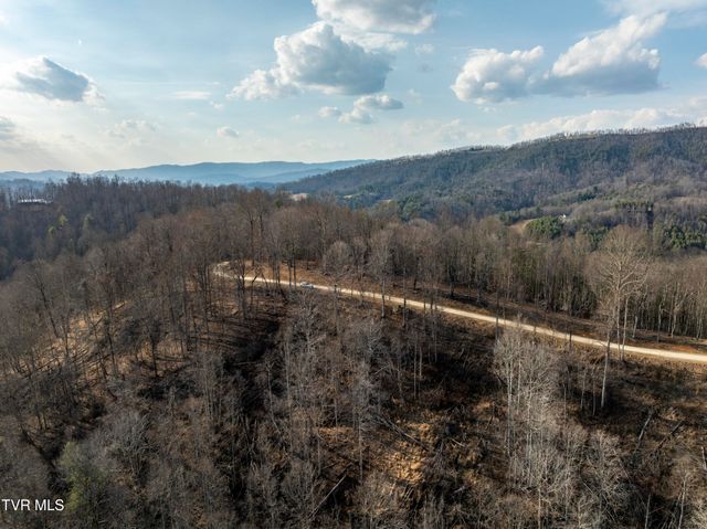 Lot 52 Summerfield Drive, Butler, TN 37640