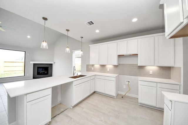 11103 Tulip Ridge Trail, Houston, TX 77044