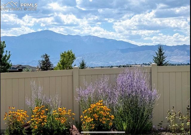6812 Oak Vine Court, Colorado Springs, CO 80908