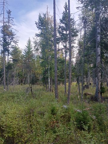 NHN Lake Blaine, Kalispell, MT 59901 property photo