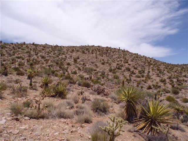 2 lots N Mt Tipton Drive, Dolan Springs, AZ 86441