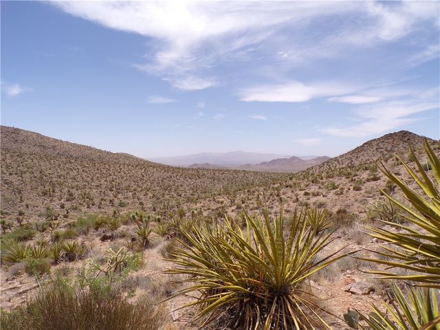 2 lots N Mt Tipton Drive, Dolan Springs, AZ 86441