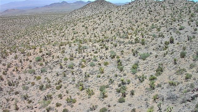 2 lots N Mt Tipton Drive, Dolan Springs, AZ 86441