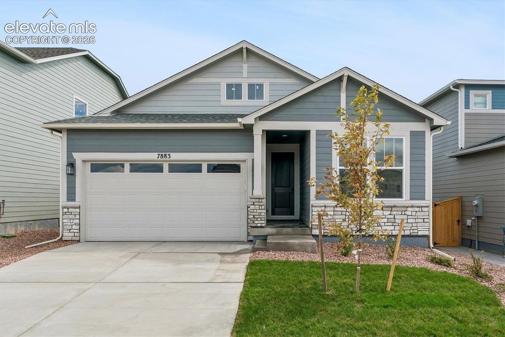 7883 Grey Bark Way, Colorado Springs, CO 80908 — exterior
