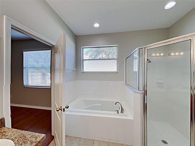 4020 LANGDRUM DRIVE, Wesley Chapel, FL 33543