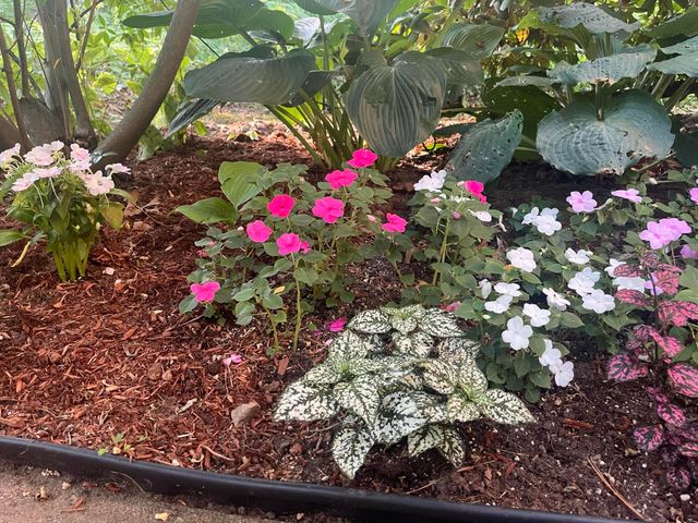 34 Erics Way UNIT G 7, Wellfleet, MA 02667