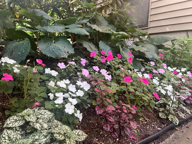 34 Erics Way UNIT G 7, Wellfleet, MA 02667