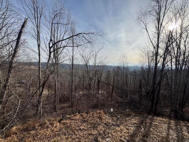 1212 Eagle View DR, Pilot, VA 24138