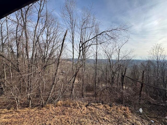 1212 Eagle View DR, Pilot, VA 24138