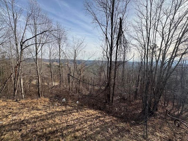 1212 Eagle View DR, Pilot, VA 24138