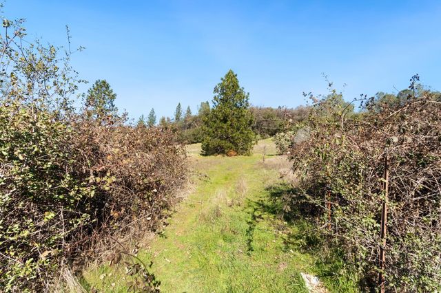 11172 N Ponderosa Way, Rough And Ready, CA 95975