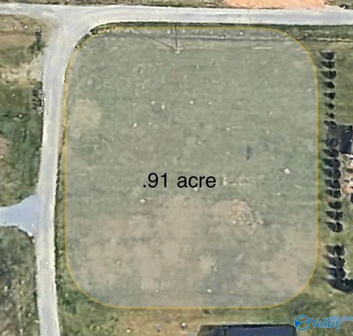 915 County Road 1042 LOT 43, Centre, AL 35960