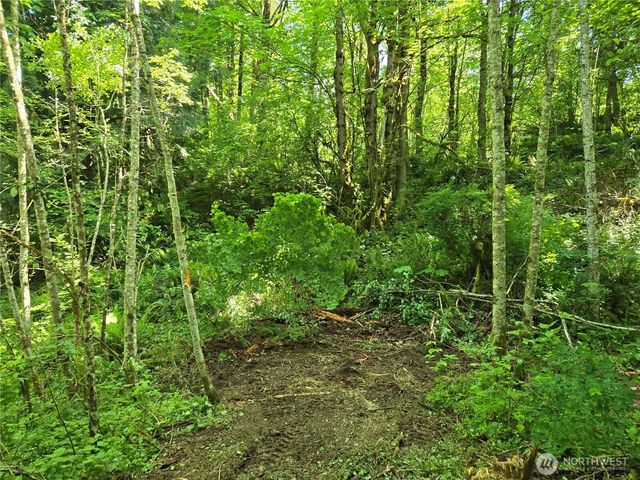 160 XX 193rd Ave SE, Renton, WA 98058