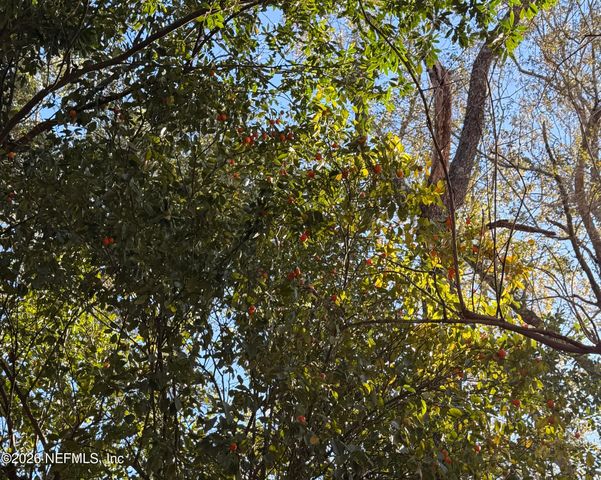 3015 NE 13TH Drive, Gainesville, FL 32609