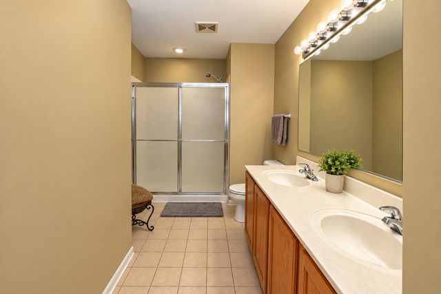 446 Bay Tree Court 446, Vernon Hills, IL 60061