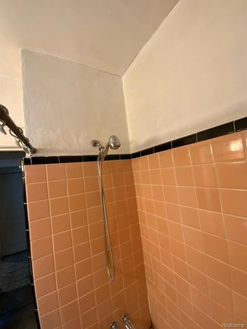 18924 Orleans Street, Detroit, MI 48203