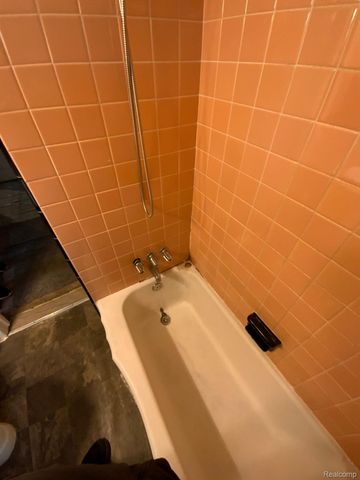 18924 Orleans Street, Detroit, MI 48203