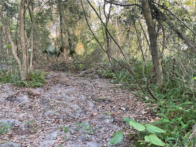 TBD NW 64TH STREET, Ocala, FL 34475