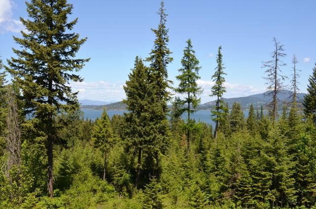 5343 S Jackleg TRL, Harrison, ID 83833