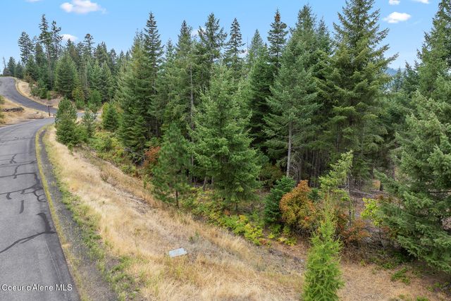 5343 S Jackleg TRL, Harrison, ID 83833