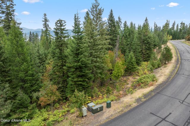 5343 S Jackleg TRL, Harrison, ID 83833