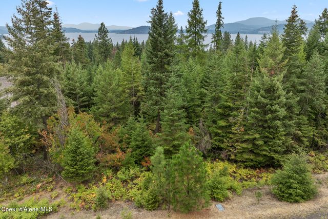 5343 S Jackleg TRL, Harrison, ID 83833