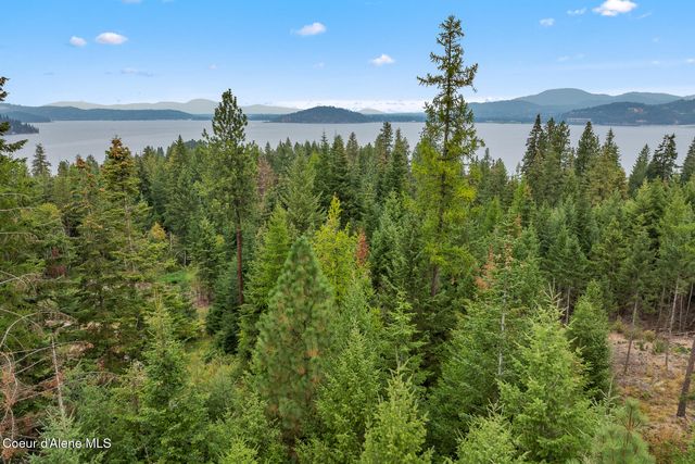 5343 S Jackleg TRL, Harrison, ID 83833