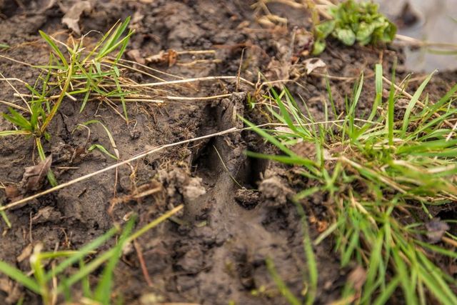 7 E 203 Road, Belton, MO 64012