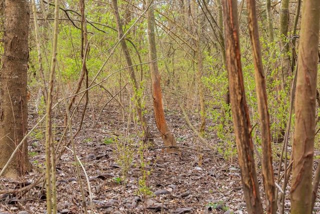 7 E 203 Road, Belton, MO 64012