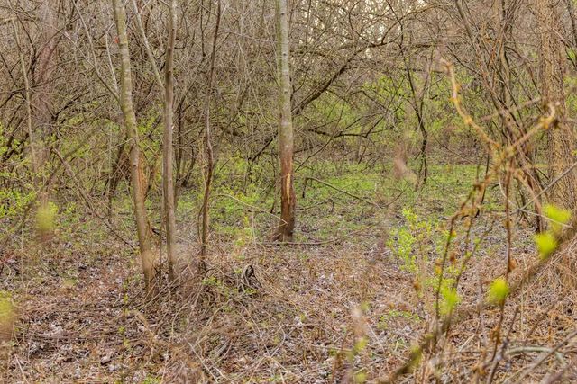 7 E 203 Road, Belton, MO 64012