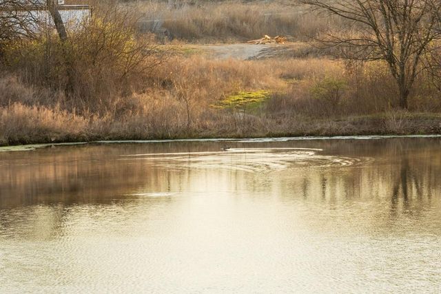 7 E 203 Road, Belton, MO 64012