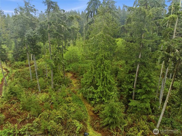 6557 Cultus Bay Road, Clinton, WA 98236