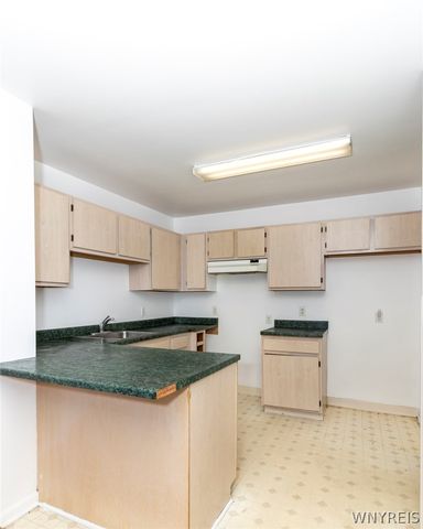 117 Delmar Mitchell Drive, Buffalo, NY 14204