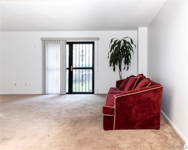 117 Delmar Mitchell Drive, Buffalo, NY 14204