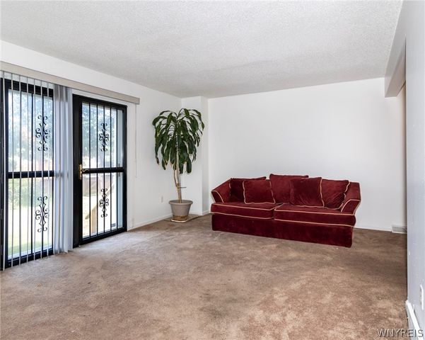 117 Delmar Mitchell Drive, Buffalo, NY 14204