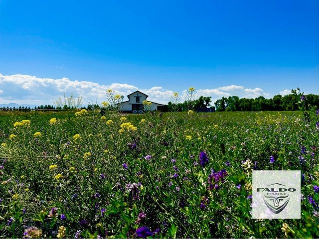 TBD Spain Bridge Road, Belgrade, MT 59714