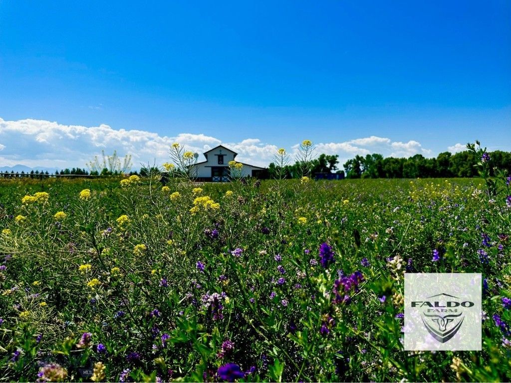 TBD Spain Bridge Road, Belgrade, MT 59714 photo 22