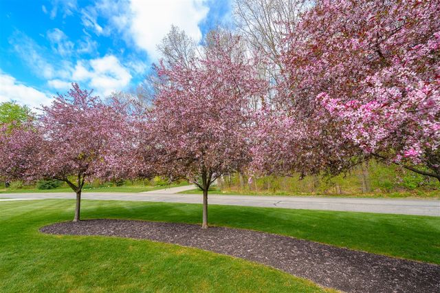 5730 Summerset Woods Drive, Alto, MI 49302
